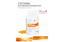 Активный масляный концентрат СУСТАВЫ 170 капсул 320 мг