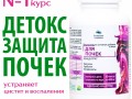 Почки. Инфографика 1
