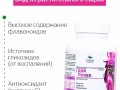 Почки. Инфографика 3