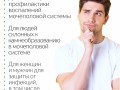 Почки. Инфографика 5