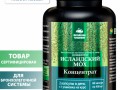 Исландский мох. Инфографика 1