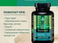 Исландский мох. Инфографика 3