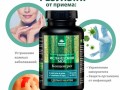 Исландский мох. Инфографика 4
