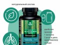 Исландский мох. Инфографика 5