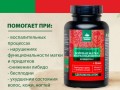 Боровая матка. Инфографика 3