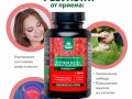 Боровая матка. Инфографика 4