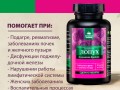 Лопух. Инфографика 2