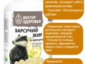 Инфографика 240 капс Барсучий жир_3